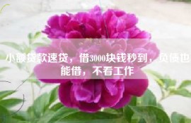 小额贷款速贷，借3000块钱秒到，负债也能借，不看工作