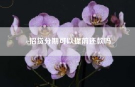 e招贷分期可以提前还款吗