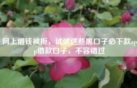 网上借钱被拒，试试这些黑口子必下款app借款口子，不容错过