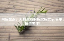 网贷盘点，无视逾期的贷款贷款app名单，值得关注！