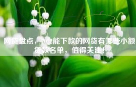 网贷盘点，2022能下款的网贷有哪些小额贷款名单，值得关注！