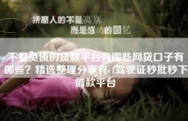 不看负债的贷款平台有哪些网贷口子有哪些？精选整理分享有c1驾驶证秒批秒下借款平台