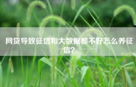 网贷导致征信和大数据都不好怎么养征信？