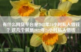 有什么网贷平台是2022年24小时私人借钱？这几个就是2022年24小时私人借钱