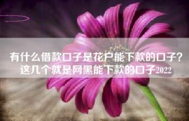 有什么借款口子是花户能下款的口子？这几个就是网黑能下款的口子2022