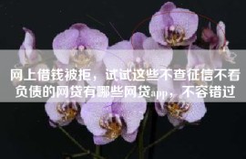 网上借钱被拒，试试这些不查征信不看负债的网贷有哪些网贷app，不容错过