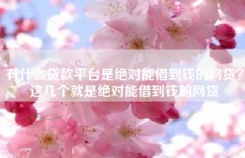 有什么贷款平台是绝对能借到钱的网贷？这几个就是绝对能借到钱的网贷