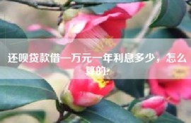 还呗贷款借—万元一年利息多少，怎么算的?