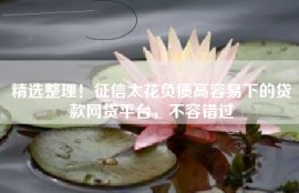 精选整理！征信太花负债高容易下的贷款网贷平台，不容错过