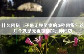 什么网贷口子是无视负债的20种网贷？这几个就是无视负债的20种网贷