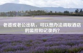 老婆或老公出轨，可以想办法调取酒店的监控和记录吗？