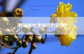 有没有快速借钱的软件？