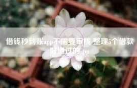 借钱秒到账app不需要审核 整理5个借款好通过的app