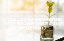 有什么借款软件是不看征信不看大数据的贷款？这几个就是无视黑白无视征信申请就下款的口子