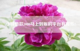 小额借款3000马上到账的平台有哪些?