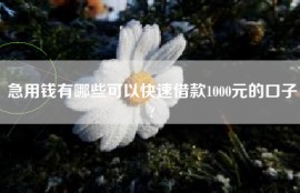 急用钱有哪些可以快速借款1000元的口子?