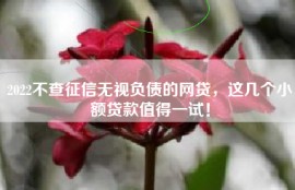 2022不查征信无视负债的网贷，这几个小额贷款值得一试！