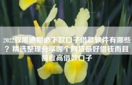 2022双黑逾期必下款口子借款软件有哪些？精选整理分享哪个网贷最好借钱而且额度高借款口子