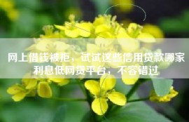 网上借钱被拒，试试这些信用贷款哪家利息低网贷平台，不容错过