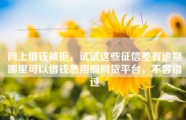 网上借钱被拒，试试这些征信差有逾期哪里可以借钱急用啊网贷平台，不容错过