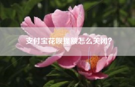 支付宝花呗提额怎么关闭？