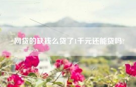 网贷的缺钱么贷了1千元还能贷吗?