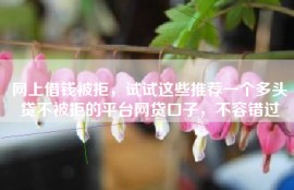 网上借钱被拒，试试这些推荐一个多头贷不被拒的平台网贷口子，不容错过