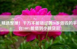 精选整理！千万不能错过的20岁借钱的平台100%能借到小额贷款