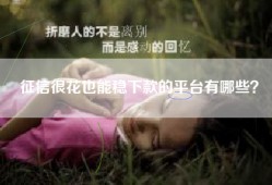 征信很花也能稳下款的平台有哪些？