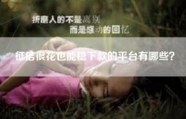 征信很花也能稳下款的平台有哪些？