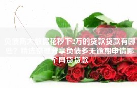 负债高大数据花秒下2万的贷款贷款有哪些？精选整理分享负债多无逾期申请哪个网贷贷款