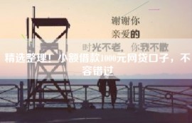 精选整理！小额借款1000元网贷口子，不容错过
