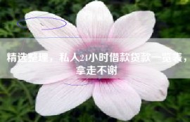 精选整理，私人24小时借款贷款一览表，拿走不谢