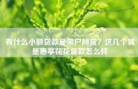 有什么小额贷款是黑户网贷？这几个就是惠享花花贷款怎么样