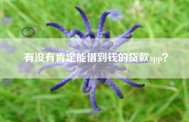 有没有肯定能借到钱的贷款app？