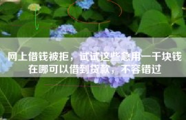 网上借钱被拒，试试这些急用一千块钱在哪可以借到贷款，不容错过