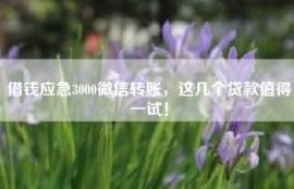 借钱应急3000微信转账，这几个贷款值得一试！