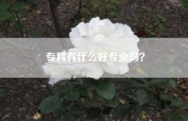 专科有什么好专业吗？