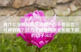 有什么小额贷款是贷款一万不看征信三分钟到账？这几个就是网黑全拒能下款的口子2022
