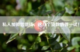 私人加微信借钱，这几个贷款值得一试！