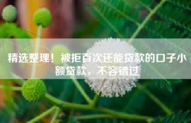 精选整理！被拒百次还能贷款的口子小额贷款，不容错过