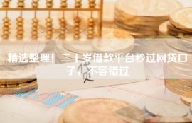 精选整理！二十岁借款平台秒过网贷口子，不容错过