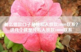 什么借款口子是纯私人放款10000联系？这几个就是纯私人放款10000联系