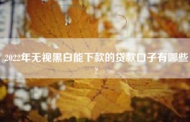 2022年无视黑白能下款的贷款口子有哪些?