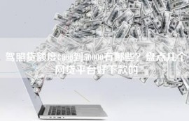 驾照贷额度8000到50000有哪些？盘点几个网贷平台好下款的