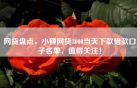 网贷盘点，小额网贷3000当天下款借款口子名单，值得关注！