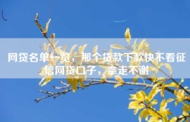 网贷名单一览，那个贷款下款快不看征信网贷口子，拿走不谢