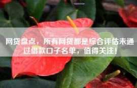 网贷盘点，所有网贷都是综合评估未通过借款口子名单，值得关注！
