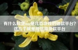 有什么网贷app是几百块钱的借款平台？这几个就是纯信用贷款平台