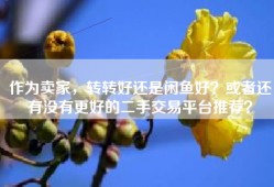 作为卖家，转转好还是闲鱼好？或者还有没有更好的二手交易平台推荐？